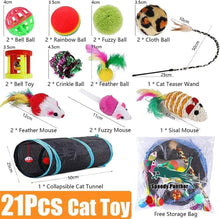 21-Piece Cat Toy Set for Kittens & Cats