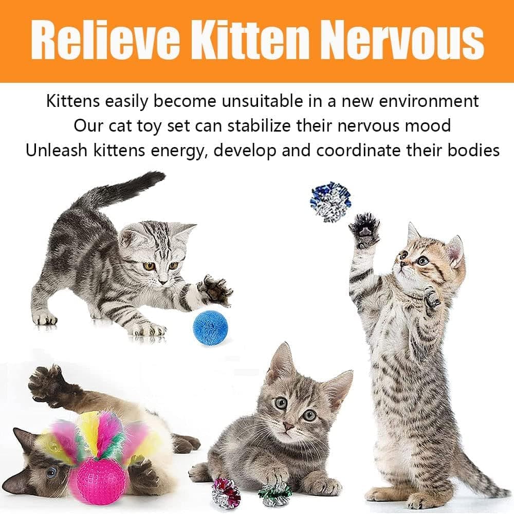 21-Piece Cat Toy Set for Kittens & Cats