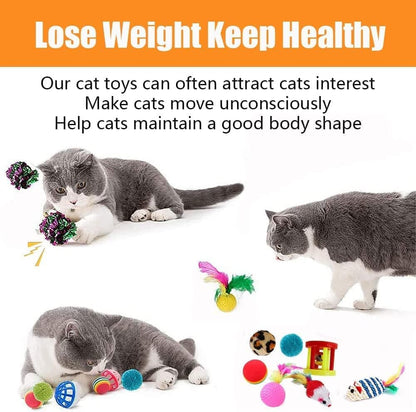 21-Piece Cat Toy Set for Kittens & Cats