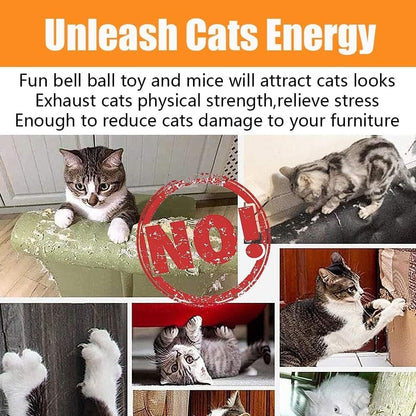 21-Piece Cat Toy Set for Kittens & Cats