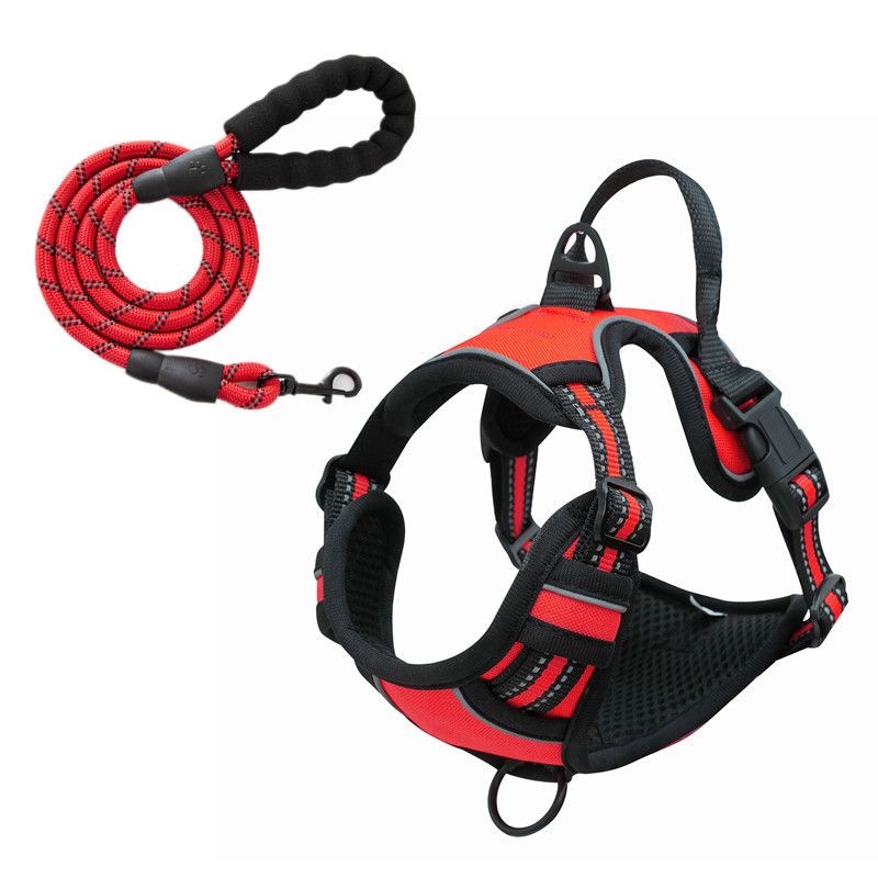 Reflective No-Pull Dog Harness – Red, Small (with 1.5m Lead)