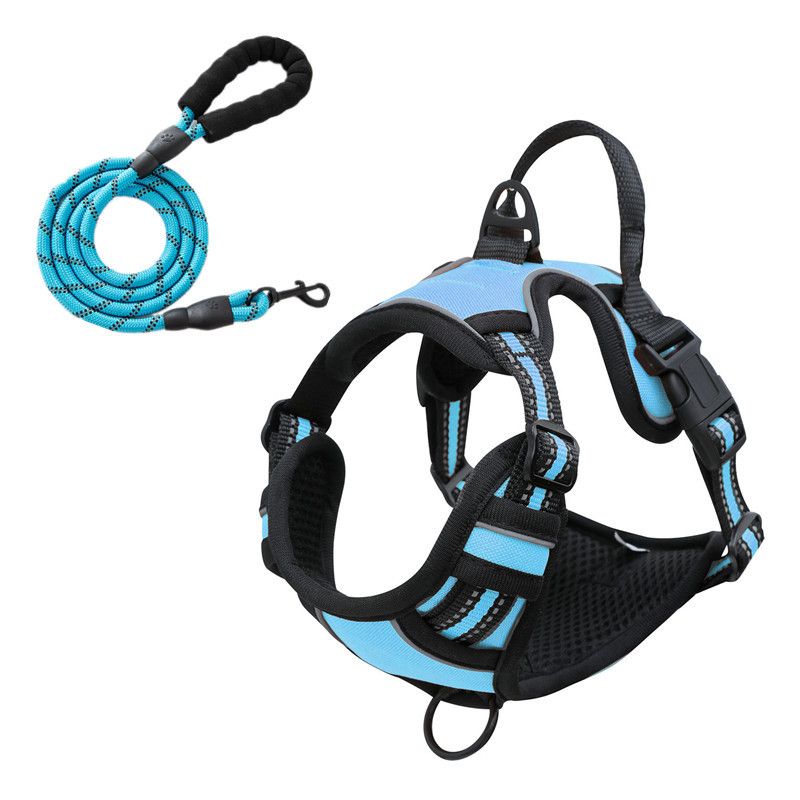 Reflective No-Pull Dog Harness – Blue, Large (with 1.5m Lead)