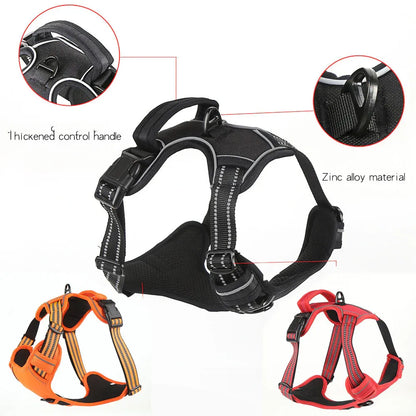 Reflective No-Pull Dog Harness – Blue, Large (with 1.5m Lead)