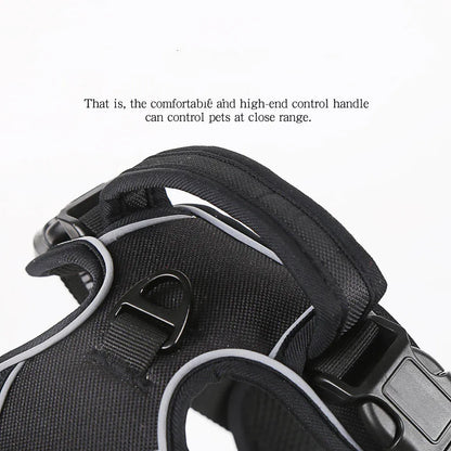 Reflective No-Pull Dog Harness – Blue, Extra Large (with 1.5m Lead)