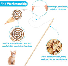 Interactive Cat Fishing Rod Toy Set – 2 Pack
