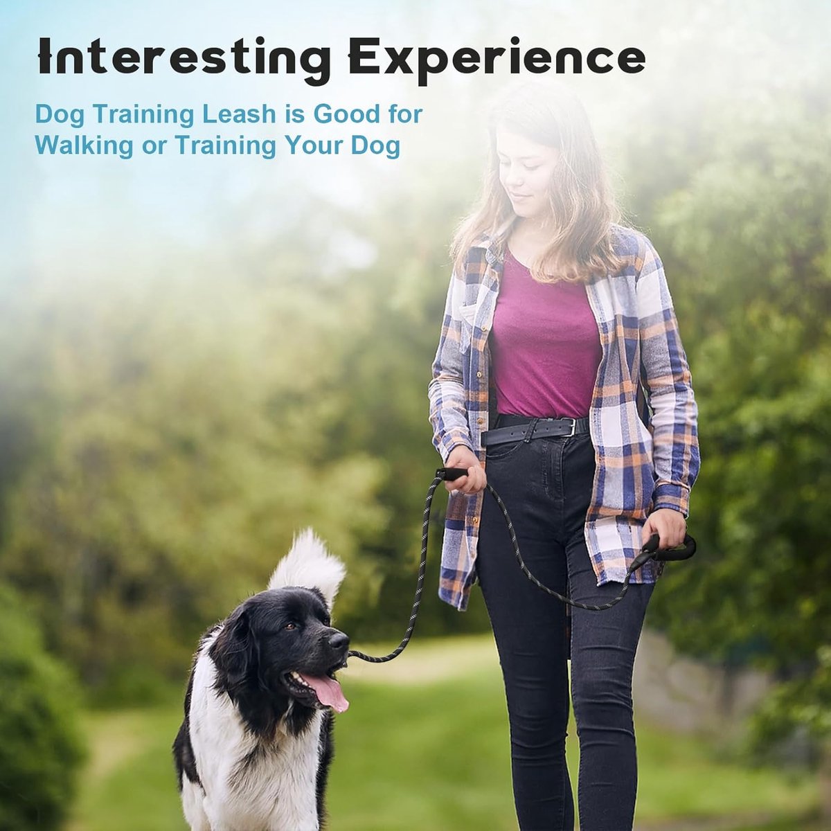 1.8m Dog Training Leash with Reflective Thread & Dual Handles