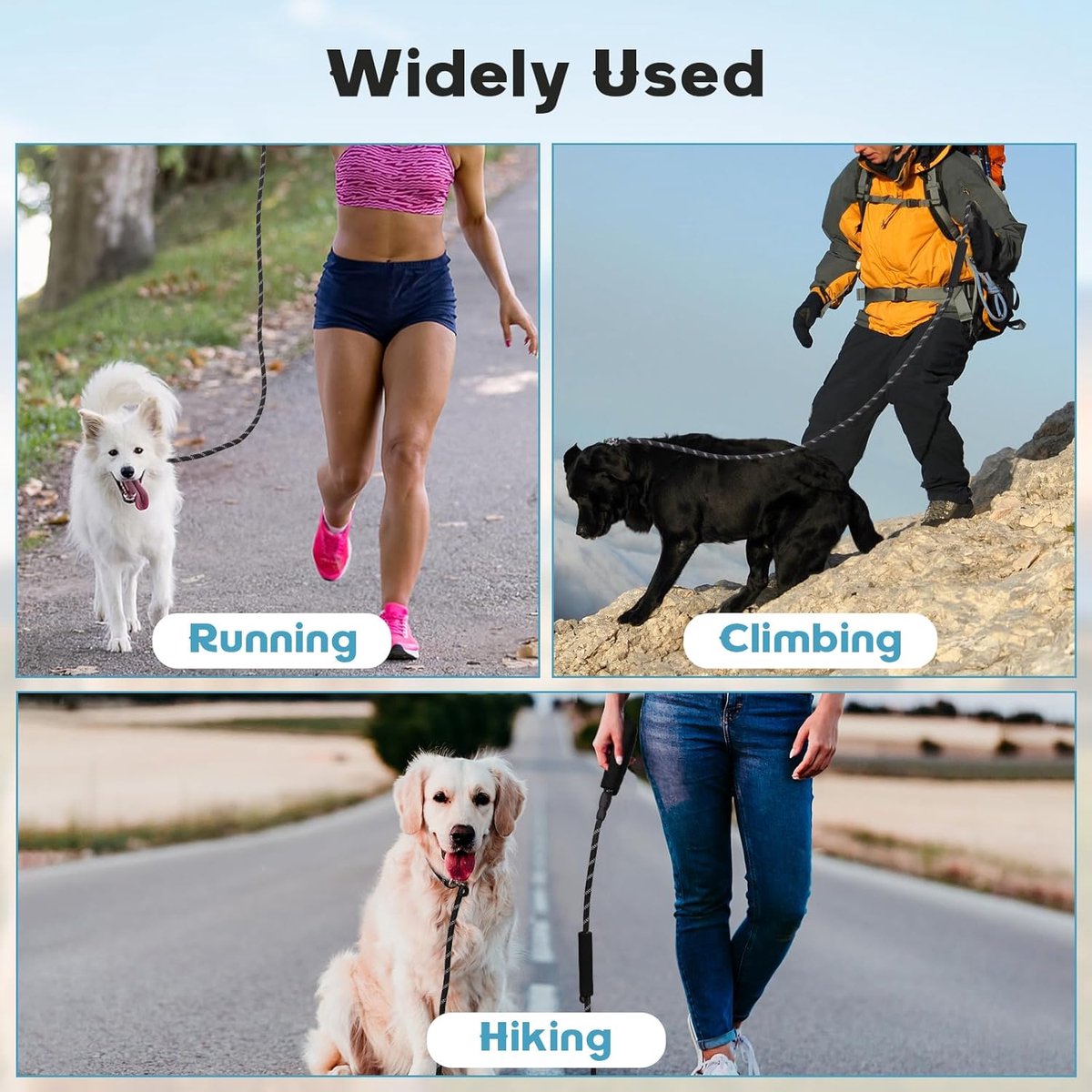 1.8m Dog Training Leash with Reflective Thread & Dual Handles