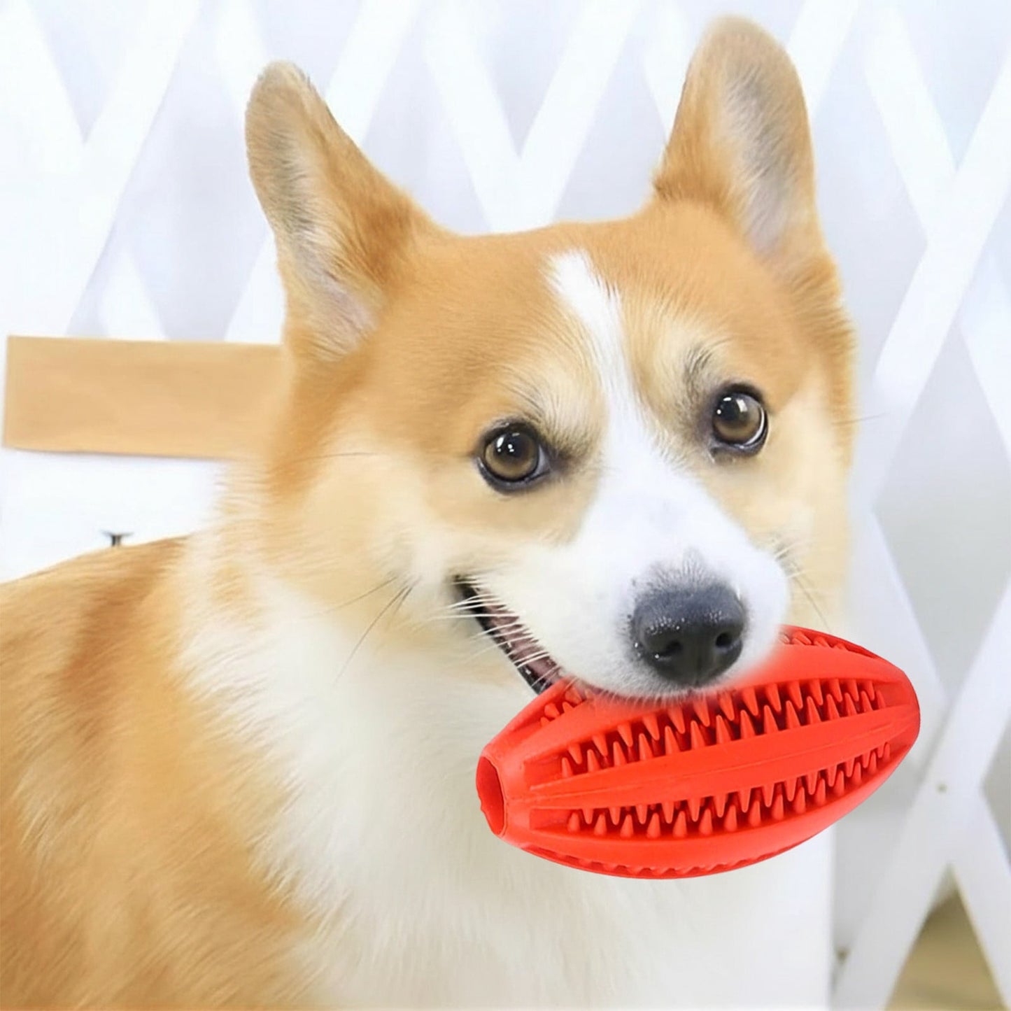 LGCASL Dog Puzzle Toy Ball – Slow Feeder & IQ Training, Yellow/Red