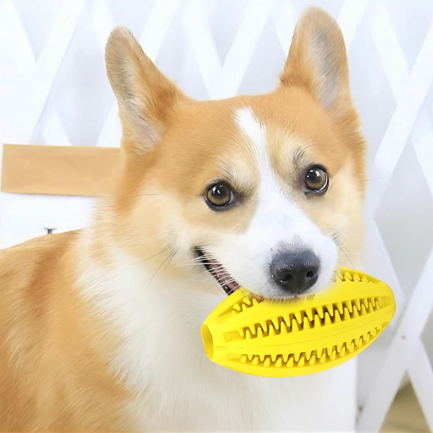 LGCASL Dog Puzzle Toy Ball – Slow Feeder & IQ Training, Yellow