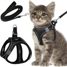 Escape-Proof Cat Harness & Leash Set – Size XXS