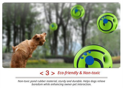Dog Squeaky Ball – 8.8cm PVC Chew Toy for Small Dogs
