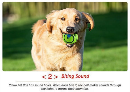 Dog Squeaky Ball – 10cm PVC Chew Toy for Medium Dogs