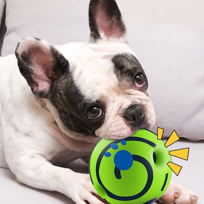 Dog Squeaky Ball – 14cm PVC Chew Toy for Large Dogs