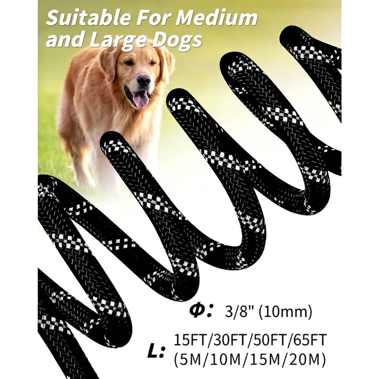 Long Dog Training Lead – Orange Nylon P-Lead for Medium & Large Dogs