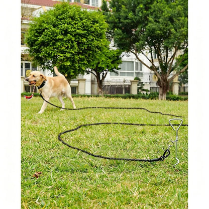 Long Dog Training Lead – Orange Nylon P-Lead for Medium & Large Dogs