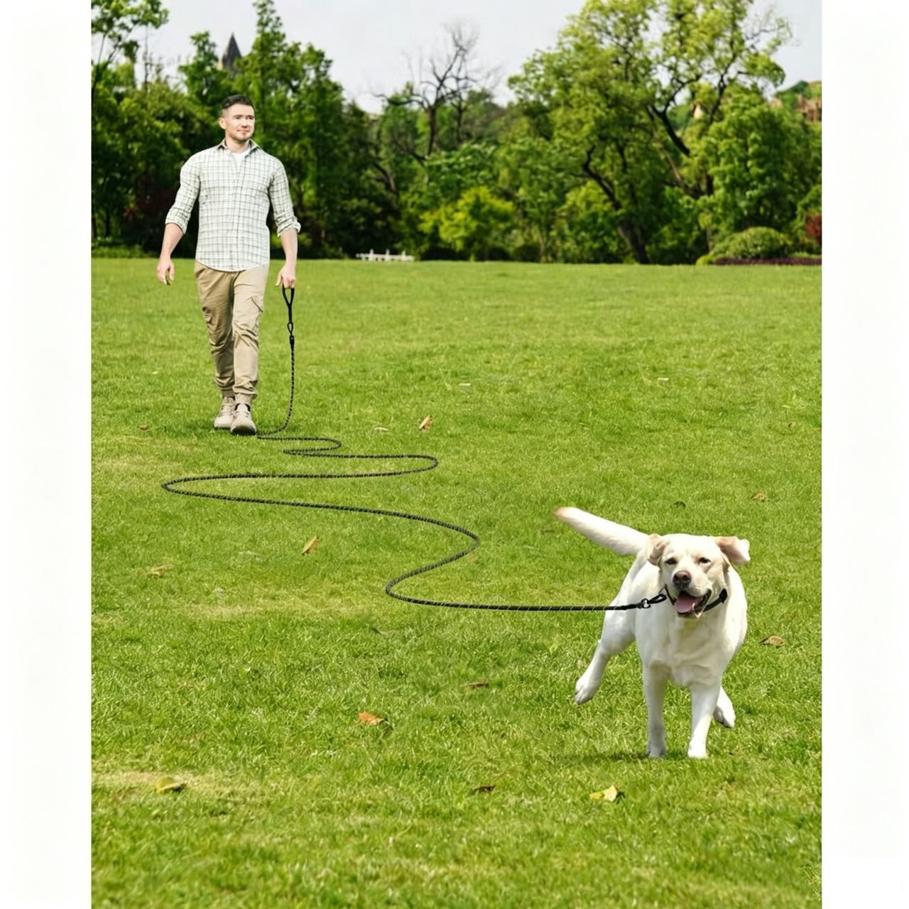 Long Dog Training Lead – Orange Nylon P-Lead for Medium & Large Dogs