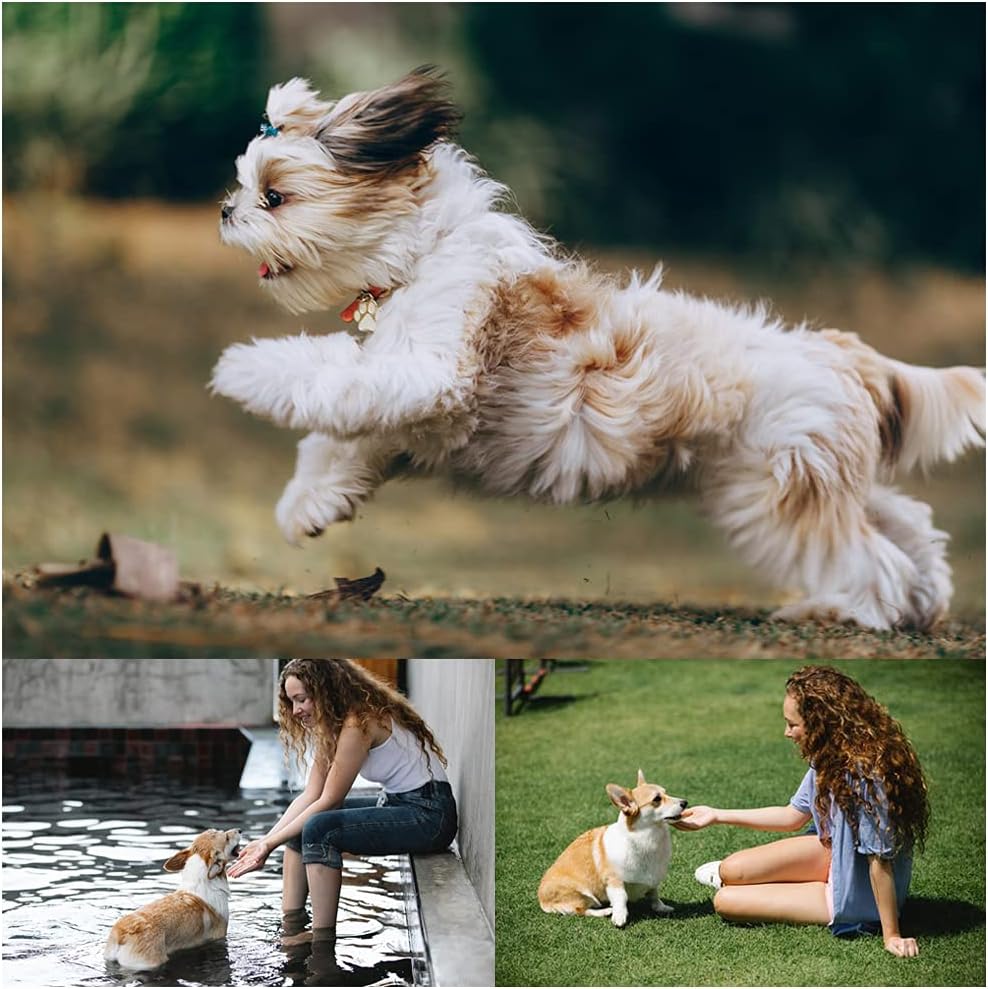 6-Pack Soft Silicone Dog Flying Discs – 17.8cm, Floats on Water