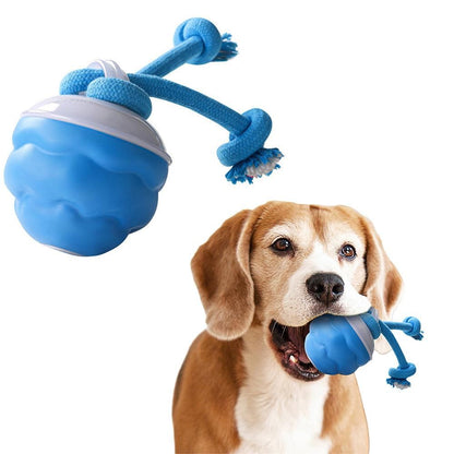 3-Mode Interactive Auto Rolling Ball Dog Toy – Squeaky, Blue