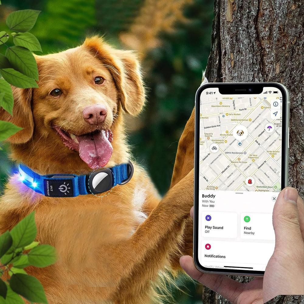 Blue LED Dog Collar – USB Rechargeable Light-Up Safety Collar – Large