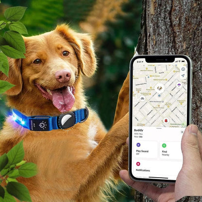 Blue LED Dog Collar – USB Rechargeable Light-Up Safety Collar – Large