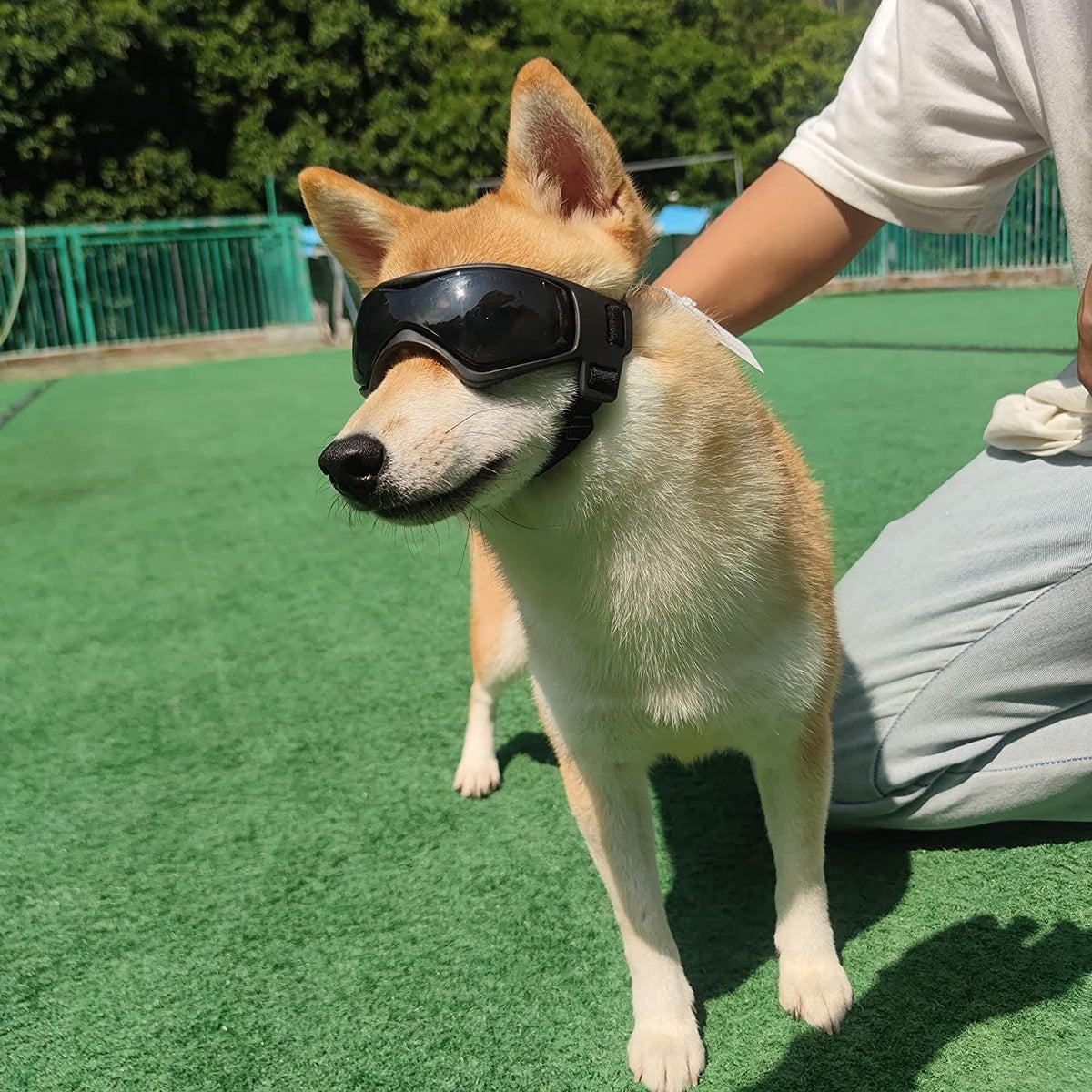 Adjustable Pet Sunglasses – Black Small