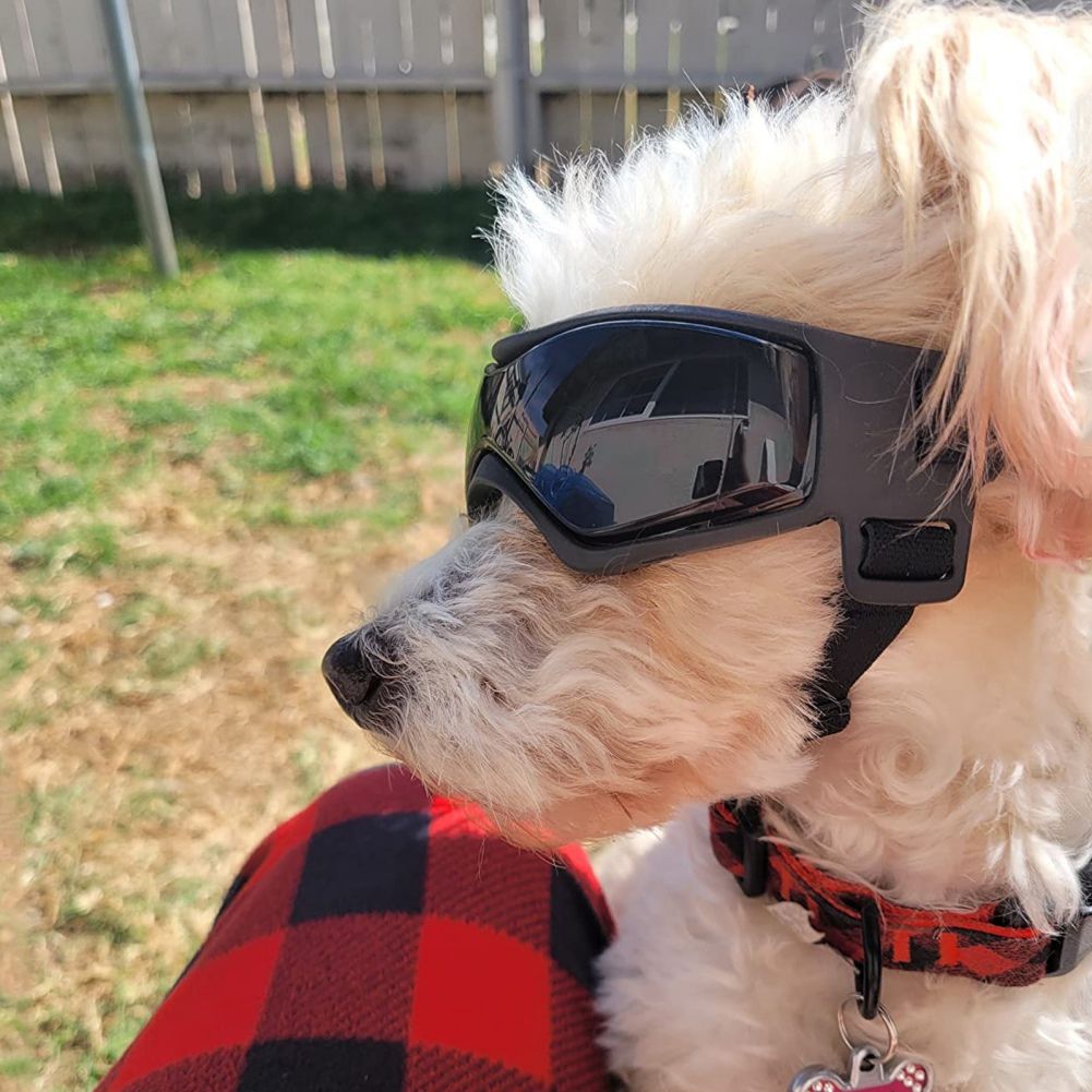 Adjustable Pet Sunglasses – Black Small