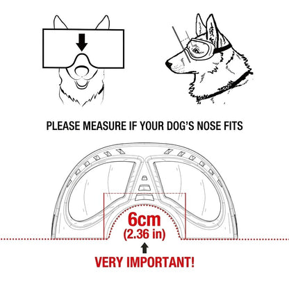 Reflective Lens Dog Goggles – Black Adjustable
