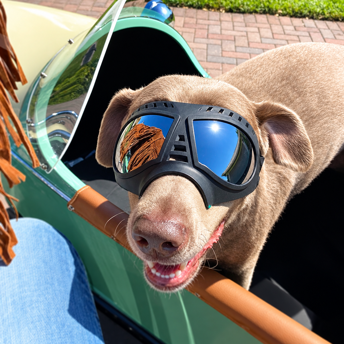 Reflective Lens Dog Goggles – Black Adjustable