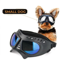 Small Dog Goggles – Blue Reflective Lens
