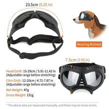 Small Dog Goggles – Blue Reflective Lens