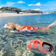 Dog Life Jacket with Grab Handle – Orange XL