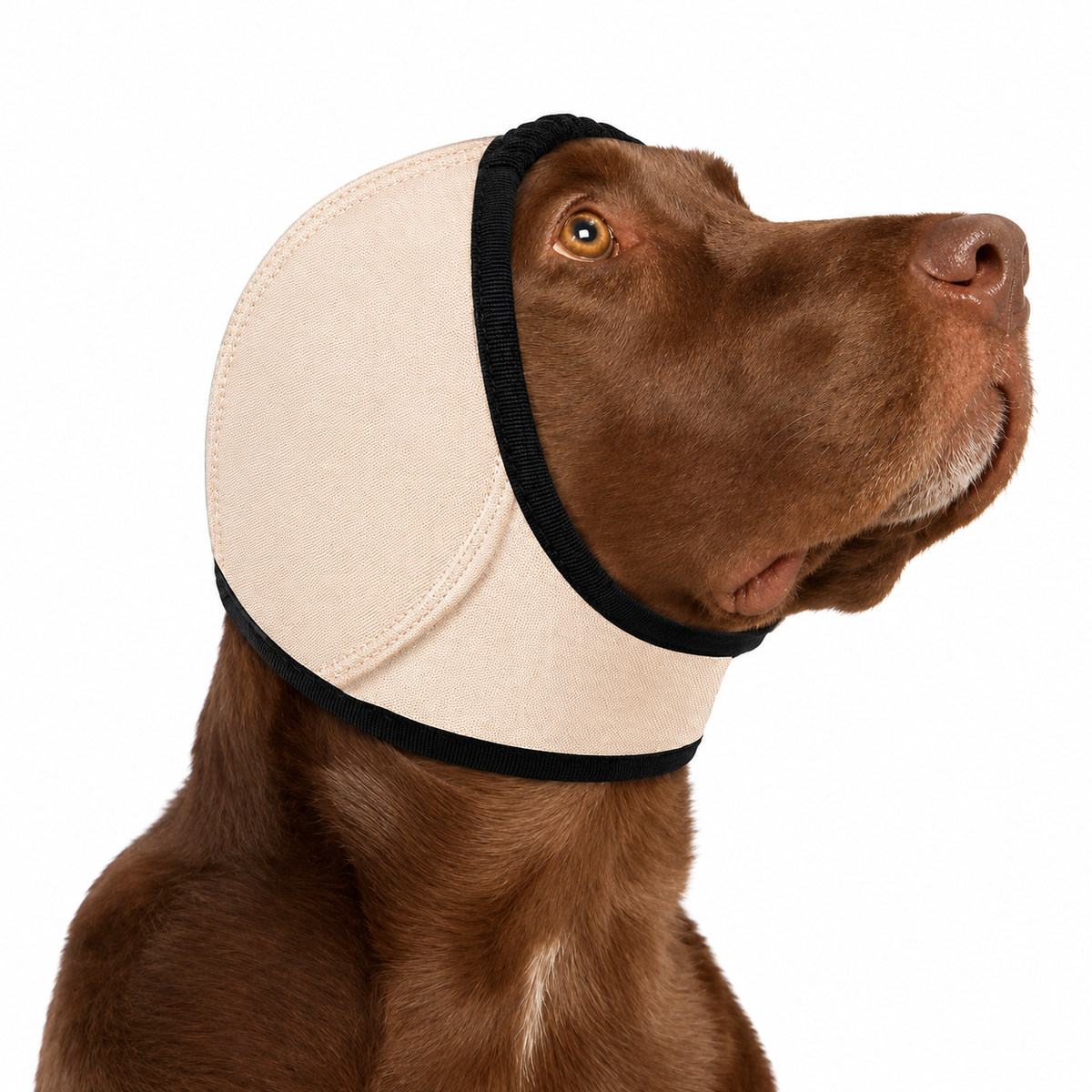 Adjustable Dog Ear Cover – Grey Large