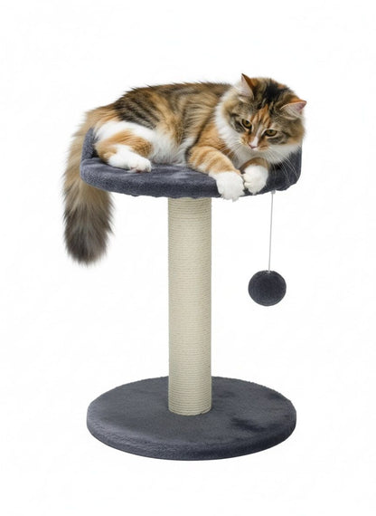 CARLA HOME Cat Tree Tower for Kittens & Small Cats – Plush Perch, Sisal Post & Hanging Ball Toy