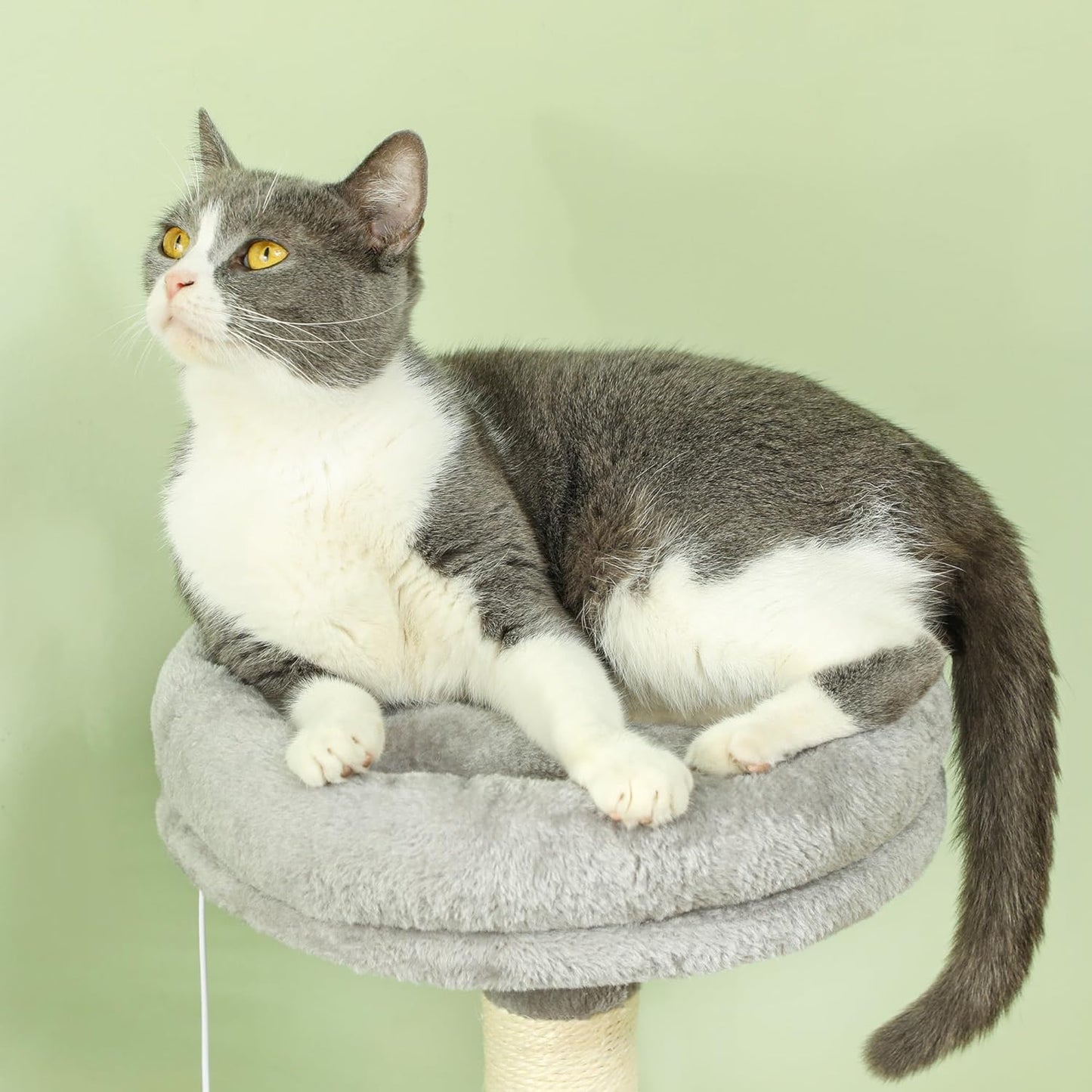 CARLA HOME Large Cat Tree Tower for Indoor Cats – Plush Perch, Condo, Sisal Posts, Hanging Ball & Paw Scratcher