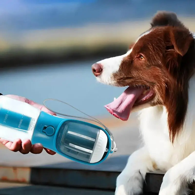 3-in-1 Portable Pet Water Bottle – White, 300mL