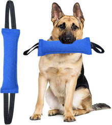 Blue Tug-of-War Dog Training Toy – 2 Pack, Tear-Resistant