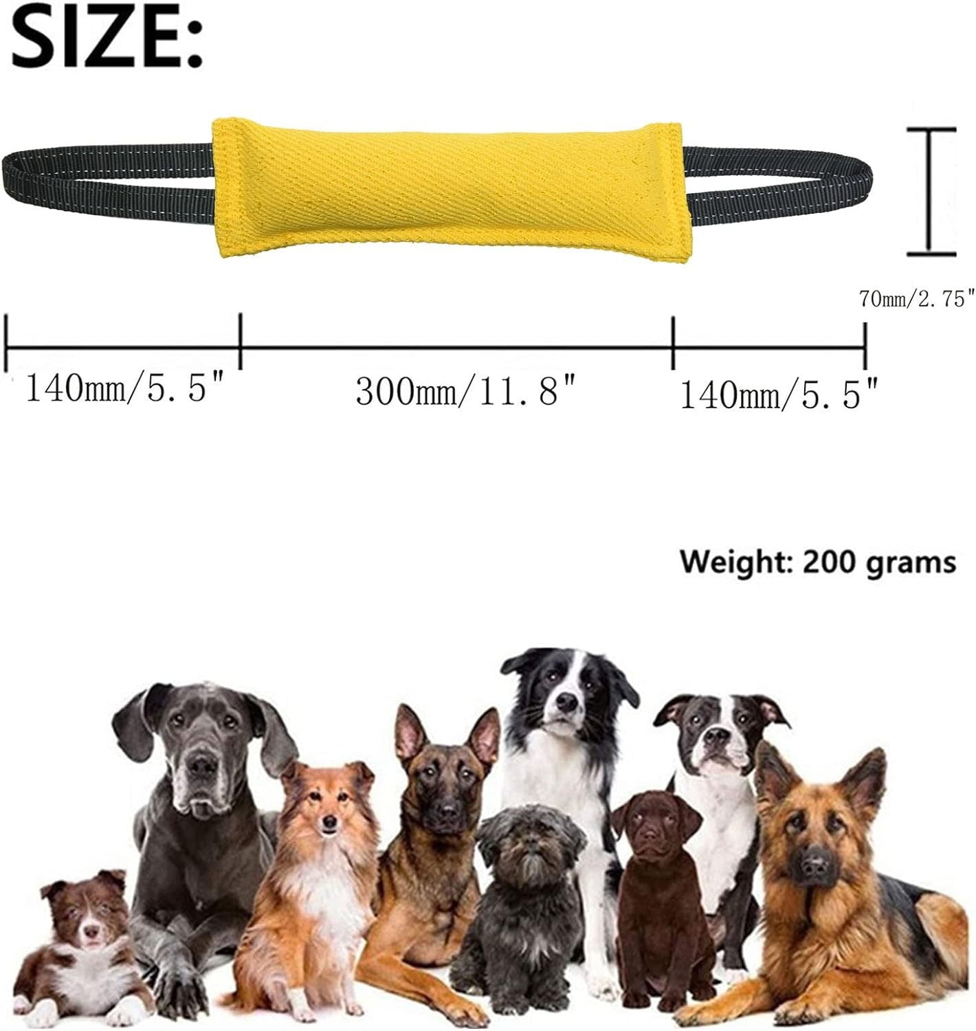 Blue Tug-of-War Dog Training Toy – 2 Pack, Tear-Resistant