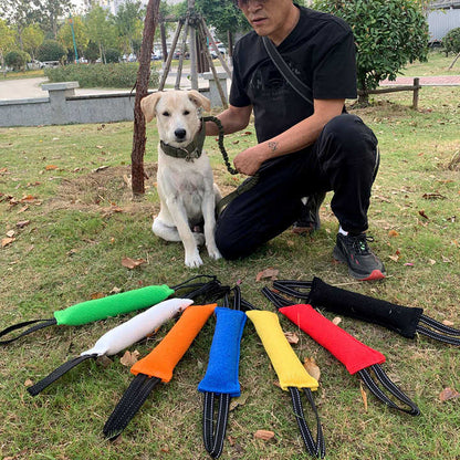 Green Durable 2-Pack Tug-of-War Dog Training Toy - Tear-Resistant, Safe & Interactive for All Breeds