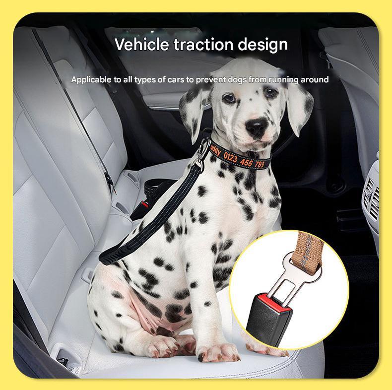 Black Shock Absorbing Dog Leash – 135cm with Reflective Stitching