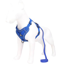 Blue Reflective Mesh Dog Harness & Leash Set – Small