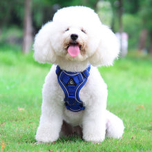 Blue Reflective Mesh Dog Harness & Leash Set – Small