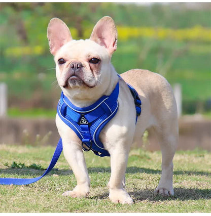 Blue Reflective Mesh Dog Harness & Leash Set – Small