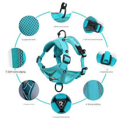 Blue Reflective Mesh Dog Harness & Leash Set – Large