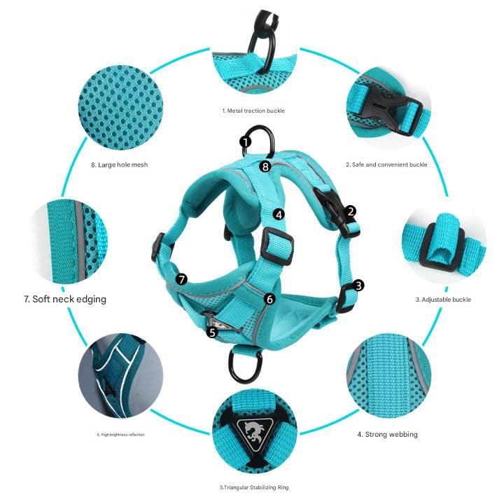 Blue Reflective Mesh Dog Harness & Leash Set – XL