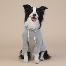 Grey Classic Dog Sweatshirt with Hood & Drawstrings – Size XL