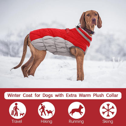 Red & Grey Premium Winter Puffer Dog Coat – Windproof & Fleece-Lined, Size XL