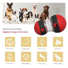 Slow Feeder Treat Dispenser Ball for Dogs – 2 Pack (Red & Green)