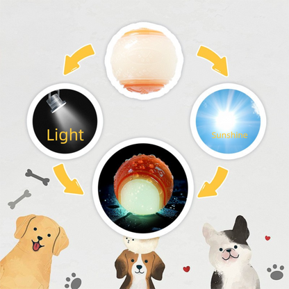 Squeaky Dog Balls 2-Pack – Durable TPR Chew & Fetch Toys for Dogs