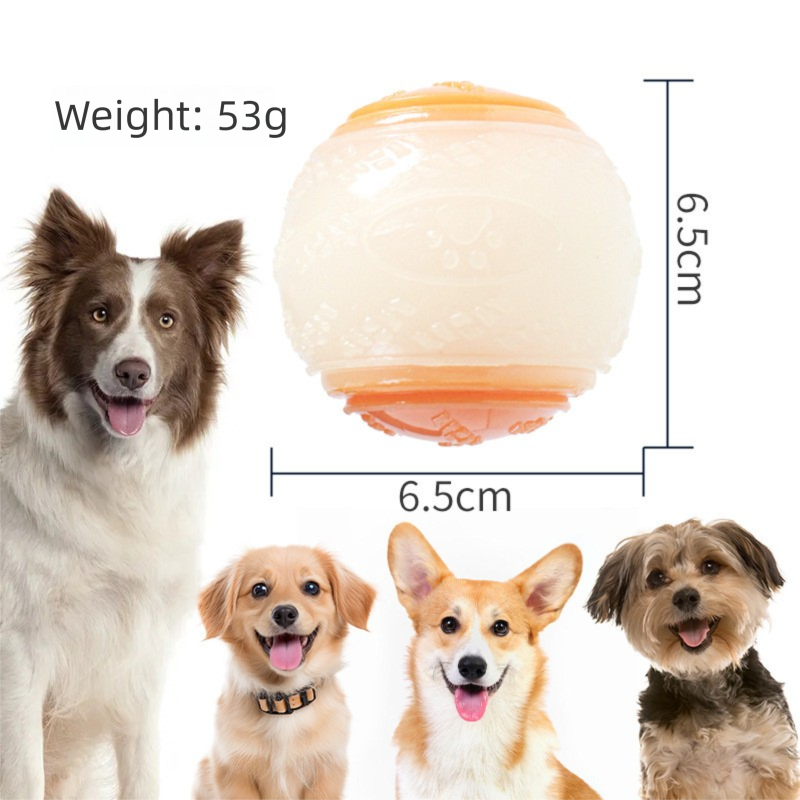 Squeaky Dog Balls 2-Pack – Durable TPR Chew & Fetch Toys for Dogs