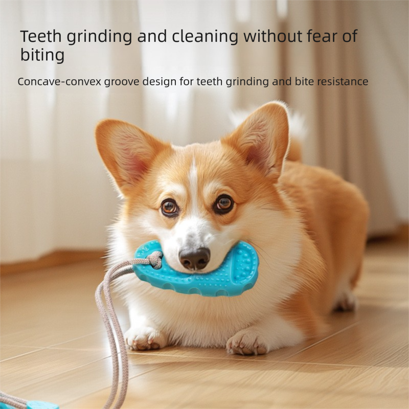 3-Piece Slipper-Shaped Dog Chew Toys with Suction Cup – Blue, Purple & Green